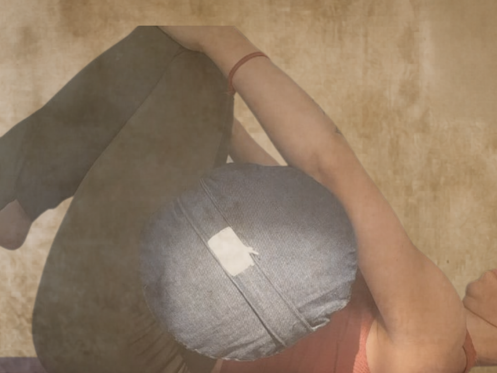 Taller Especial · Zona Lumbar - agosto 2026